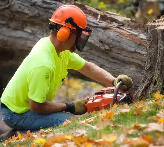 tree services Thaxton